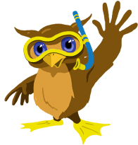 OwlSmall